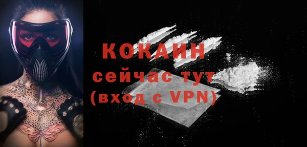 индика Володарск